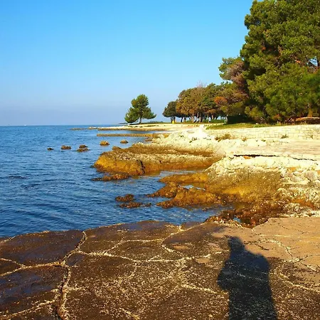 Für 4 Personen Ca 60 Qm In červar-porat, Istrien Istrische Riviera Apartamento *